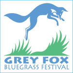 Grey Fox